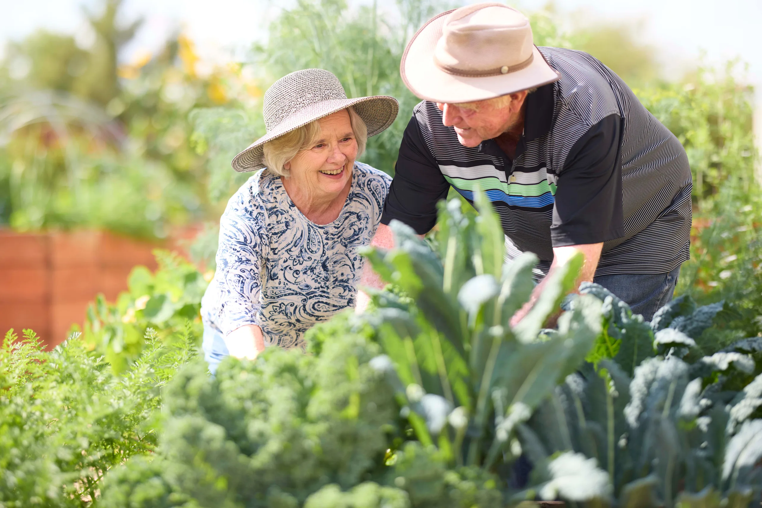 Benefits of Gardening for Seniors