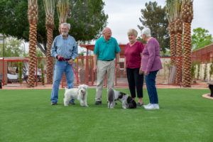 four seniors standing outside with two dogs